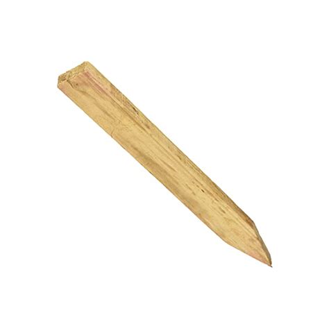 stakes definition|STAKE .